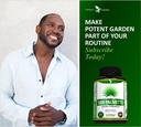 potent-garden-saw-palmetto-500-mg-prosta-6.jpg