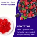 nutrachamps-elderberry-gummies-with-vita-6.jpg