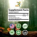 potent-pure-20-1-ganoderma-lucidum-extra-2.jpg
