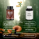 potent-pure-20-1-ganoderma-lucidum-extra-4.jpg