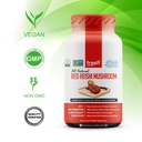fresh-nutrition-organic-reishi-mushroom--3.jpg