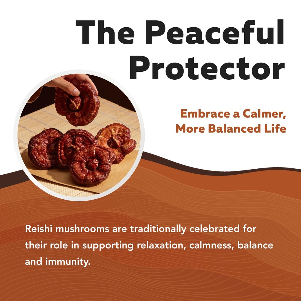 organic-reishi-mushroom-capsules-extract-2.jpg
