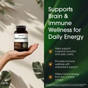 naturebell-lion-s-mane-240-capsules-orga-4.jpg