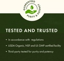 swanson-full-spectrum-lions-mane-mushroo-4.jpg