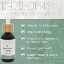 philosophie-sunshine-drops-berry-bliss-b-2.jpg