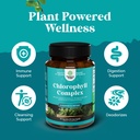 bundle-of-water-away-herbal-diuretic-pil-5.jpg