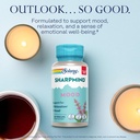solaray-sharpmind-mood-support-supplemen-3.jpg