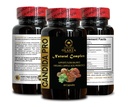 candida-support-complex-candida-suppleme-4.jpg
