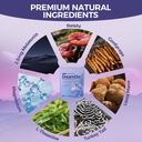 dreamon-sleep-optimization-gummies-for-a-3.jpg