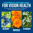 omnibiotics-vision-clarity-eye-vitamin-a-5.jpg
