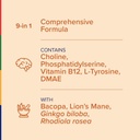 stop-aging-now-brain-supplement-complex--2.jpg