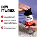 force-factor-lion-s-mane-supplement-caps-4.jpg
