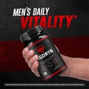 2-pack-vigoryn-capsules-official-vigoryn-2.jpg