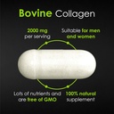 vegan-bovine-collagen-capsules---powerfu-6.jpg
