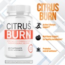 2-pack-citrus-burn-capsules-official-cit-4.jpg