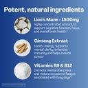 urvi-brain-focus-gummies-lions-mane-pana-5.jpg