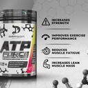 dragon-pharma-atp-force-enhanced-creatin-6.jpg