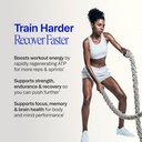 ora-organic-creatine-monohydrate-powder--4.jpg