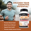 bioschwartz-organic-lions-mane-supplemen-3.jpg