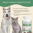real-mushrooms-5-defenders-for-pets-90ct-4.jpg