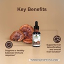 nature-s-answer-reishi-mushroom-extract--6.jpg
