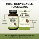 herbal-roots-organic-reishi-mushroom-cap-6.jpg