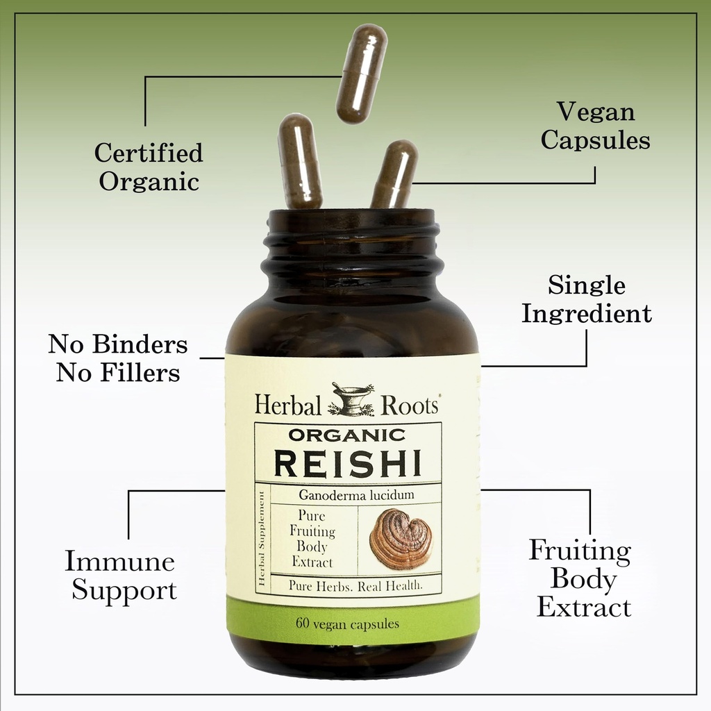 herbal-roots-organic-reishi-mushroom-cap-5.jpg