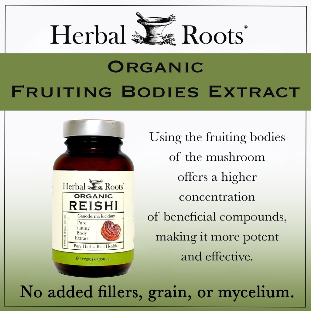 herbal-roots-organic-reishi-mushroom-cap-4.jpg