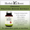 herbal-roots-organic-reishi-mushroom-cap-4.jpg