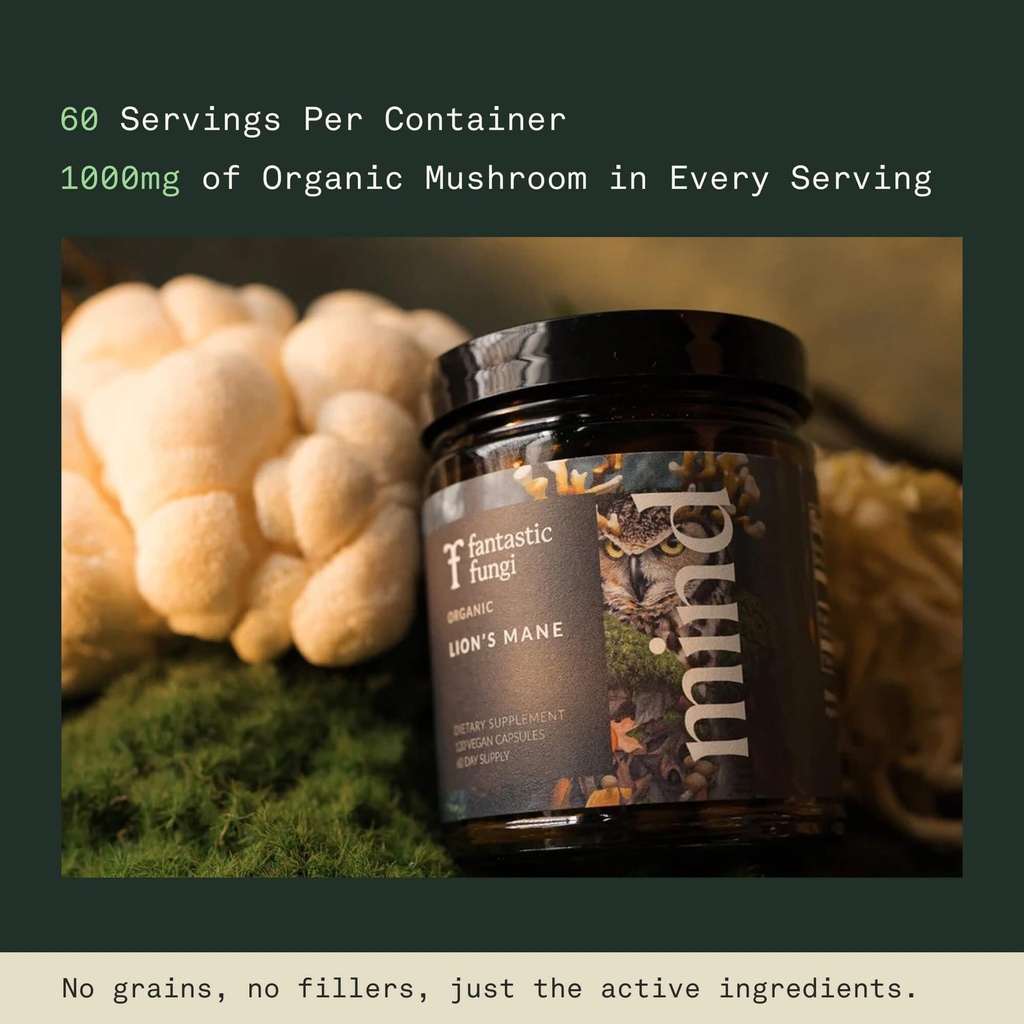 fantastic-fungi-lions-mane-supplement-ca-5.jpg
