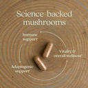 new-chapter-immune-support-reishi-shiita-4.jpg