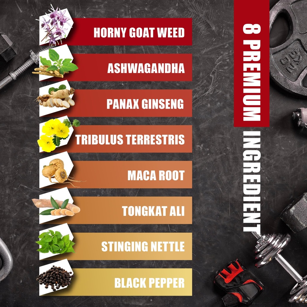 bmvinvol-2-packs-horny-goat-weed-capsule-4.jpg