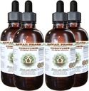 Cordyceps Liquid Extract bez obsahu alkoholu, Cordyceps (Cordyceps Sinensis) Mushrom Glycerite Hawaii Pharm Natural Herbal Supplement 4x4 oz