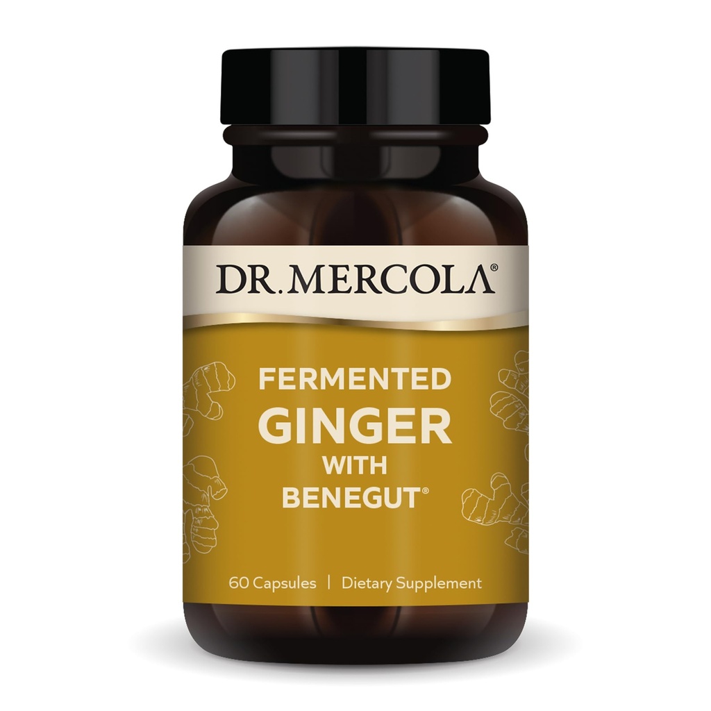 Dr. Mercola Fermentovaná zázvorová s Benegutom - Podpora Tráviaceho a gutového zdravia - Aids Occasional Gas, Bloating & Discomfort - Non-GMO, Gluten-Free & Soy-Free - 60 kapsúl (60 dávok)