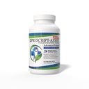 Prebiotiká a probiotiká pre tráviace a imunitné zdravie s Pea Protein Advanced - Plant-Based 28 Kmene Pôda Mikroflora - Vegan, podporuje zotavenie svalov a zdravie Gut, 60 Kapsule podľa Assist