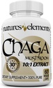 Chaga Mushroom 10:1 Štandardizovaný extrakt s 30% Polysacharidy 