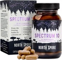North Spore Organic 'Spectrum 10' Mushrom Extract Kapsule 
