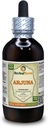 Arjuna (Terminália Arjuna) Tinktúra, Organicky sušená kôra Tekutý extrakt (názov kože: HerbalTerra, hrdo vyrobený v USA) 4 fl.oz (120 ml)