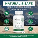 Palmitoyletanolamid Pea Supplement 600mg - Mikronizované Pea Doplnky 99% - 2 mesiace Zásobovanie - Advanced Natural Support for Joint Comfort
