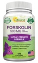 aSquared Nutrition Forskolin 500mg Max Strength-180 Kapsule,Forskolin Supplement for Pure Weight Loss Fuel, Coleus Forskohlii Root - Forskolin Diet Pills, Belly Buster Fat Burner 2X Slim Trim Lose