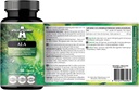 APOLLO'S HEGEMONY ALA (Alfa Lipoic Acid) 600 mg - 60 Vegan Kapsule - Optimalizuje Glukózový manažment - podporuje mitochondriálne zdravie - Dva mesiace dodávky