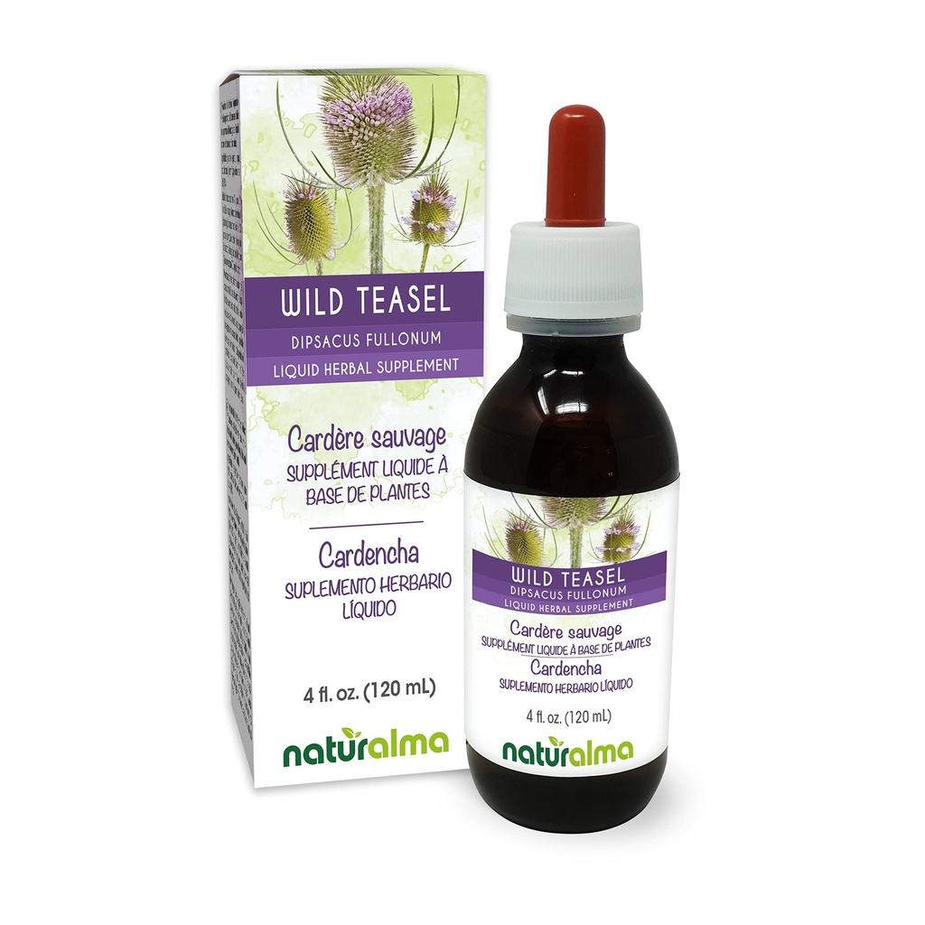Naturalma Wild Teasel alebo Fuller's Teasel (Dipsacus fulonum alebo D. sylvestris) Root Alkohol-free Tinture - 4 fl oz Liquid Extract in Drops - Bylinné doplnky - Vegan