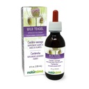 Naturalma Wild Teasel alebo Fuller's Teasel (Dipsacus fulonum alebo D. sylvestris) Root Alkohol-free Tinture - 4 fl oz Liquid Extract in Drops - Bylinné doplnky - Vegan