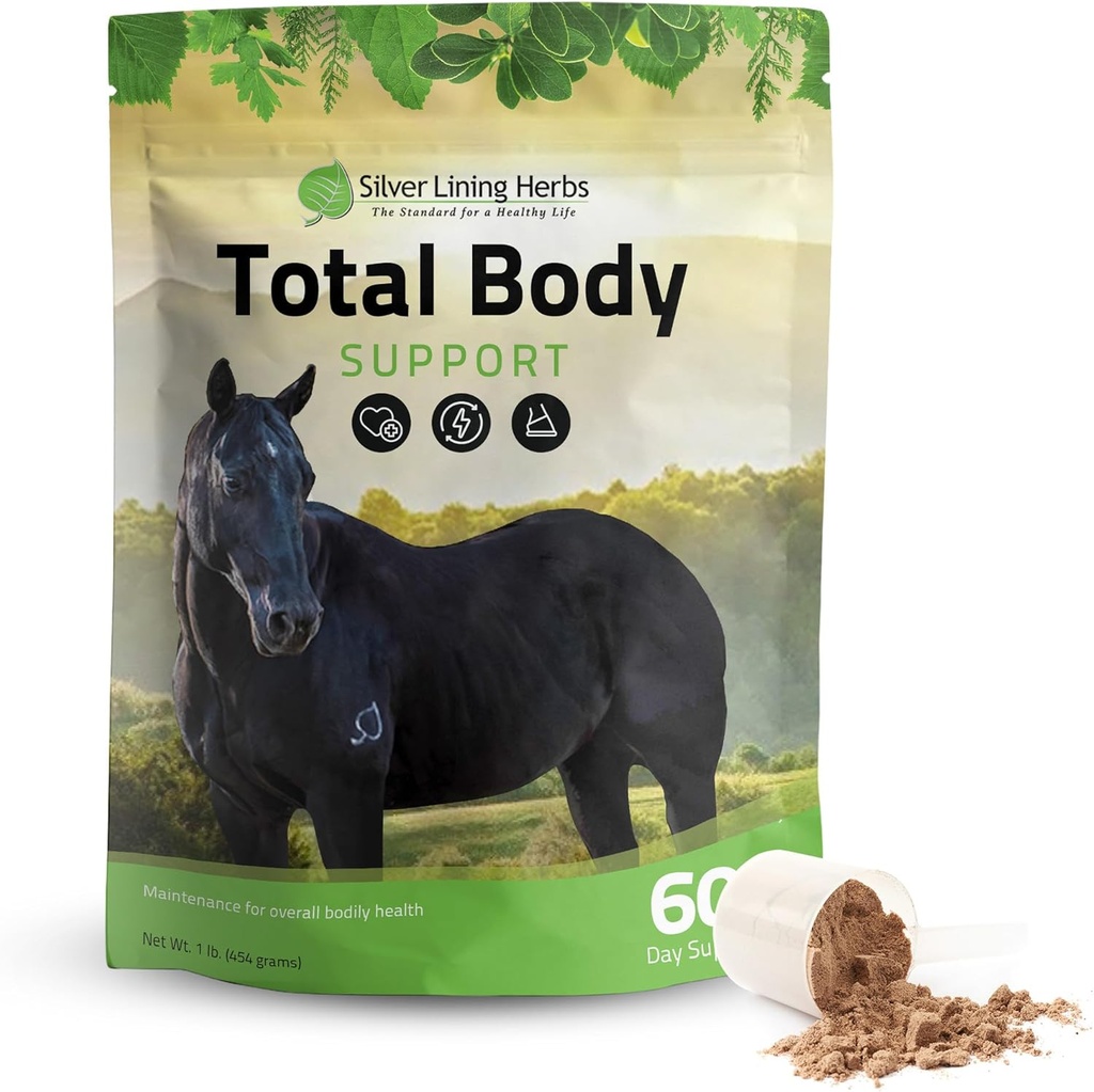 Strieborné ľanové byliny celkom Body Horse Supplements Powder for Mental & Celkové zdravie - Podpora Lepšia pleť a zdravá koza pre kone - Prírodné bylinné Equinity Horse Supplement - 1 LB Bag