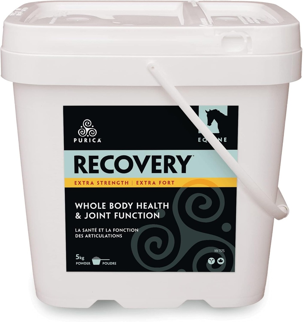 PURICA Recovery Extra sila - Equine Joint Supplement - Komplexná podpora pre kone - Ideálne kone Joint Supplement for Senior Horses, MSM Powder Included - 11 LB Powder