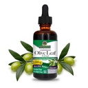 Nature's Answer Olive Leaf Extract, Alkohol-Free, Non-GMO, Vegan, Gluten-Free, Made in USA, 2 Ounce 