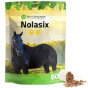 Strieborné ľanové byliny Nolasix Lung & Obehové doplnky pre kone 