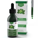 Chlorofyl Tekuté kvapky - 100% Natural Energy Booster a Immune Support - Internal Deodorant and Detox - Altitude Choroba Relief - Rýchla absorpcia, Vegan & Non-GMO - 120 Servings (Pack of 1)