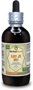Liu Ji Nu, Artemisia (Artemsia Anomala) Tinktúra, sušený rastlinný tekutý extrakt (názov rastliny: bylinný tera, hrdo vyrobený v USA) 4 fl.oz (120 ml)