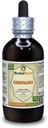 Oregano (Origanum Vulgare) Tinktúra, Organicky sušené listy tekutý extrakt (názov bedier: bylinný terasa, hrdo vyrobené v USA) 4 fl.oz (120 ml)